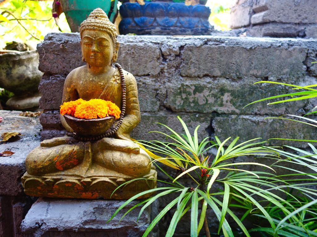 Kabera Bungalow 3 Ubud Dış mekan fotoğraf